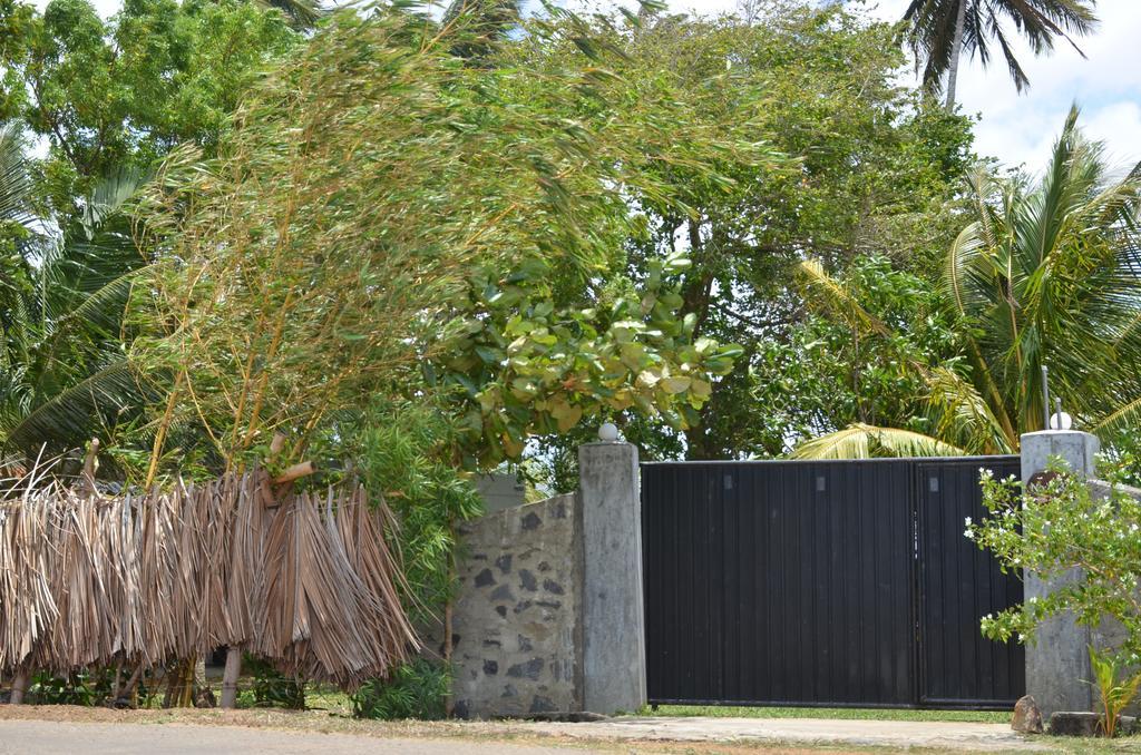 Yaye Guest House Tissamaharama Extérieur photo